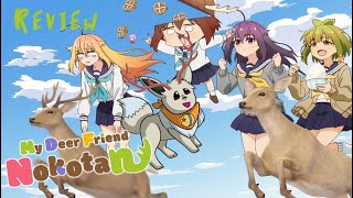 My Deer Friend Nokotan is the funniest anime I’ve ever seen Review [upl. by Lenuahs]