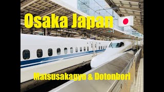 Travel to Japan Part 2 Visiting Dotonbori in Osaka Bullet Train experience amp try Matsusaka Beef [upl. by Gwenora]