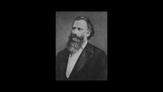 Johannes Brahms Dança Húngara [upl. by Pete]