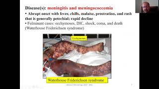 Neisseria amp Moraxella [upl. by Peltier]