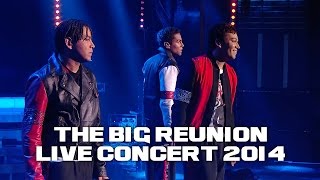 3T  ANYTHING THE BIG REUNION LIVE CONCERT 2014 [upl. by Cadel610]