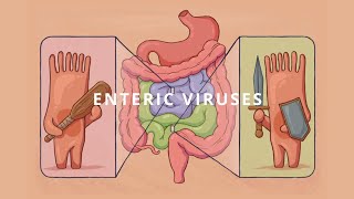 Enteric viruses and hypoxia — a relationship that can improve treatment [upl. by Korten158]