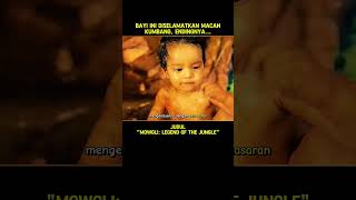 BAYI INI DISELAMATKAN MACAN KUMBANG ENDINGNYA shorts alurceritafilm cuplikanfilm [upl. by Sartin322]