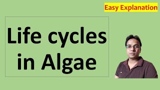 शैवालों का जीवन चक्र । Life cycles in Algae  Alternation of Generation  Algae Notes । bsc 1st year [upl. by Dagmar]