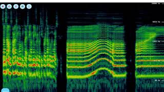 Spectrogram tutorial [upl. by Aleta845]