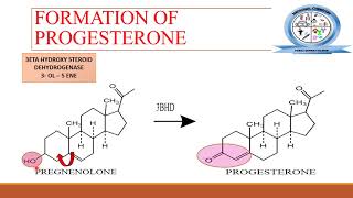 BIOSYNTHESIS OF STEROID HORMONES  Steroids  MEDICINAL CHEMISTRY [upl. by Arette]