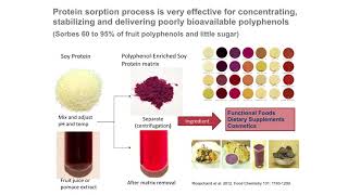 Health Effects of Phytochemicals from Foods [upl. by Kcirttap417]