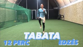 TABATA edzés  12 perc  DUROFIT [upl. by Neehsar333]