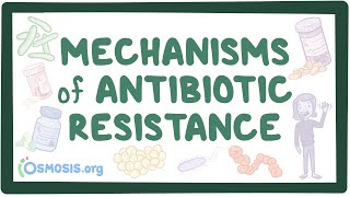 Mechanisms of antibiotic resistance [upl. by Lenoj]