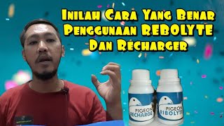 CARA PENGGUNAAN REBOLYTERECHARGER [upl. by Reni846]