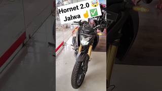 Hornet 20 2024 model 🤯  Honda power [upl. by Atekehs]