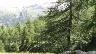 IT  EN Escursione sul Colle Ranzola  Hike to Ranzola Hill Valle dAosta  Italy [upl. by Tankoos]