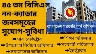 ৪৫ বিসিএস ননক্যাডার জব সমূহ কেমন BCS NonCadre Job। ননক্যাডার জব [upl. by Rodolphe]