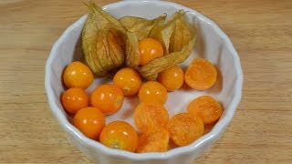 Physalis essen [upl. by Sandberg]