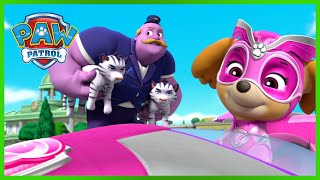 ¡Los cachorros de La Patrulla Canina rescatan a un mega alcalde y más  Compilación de PAW Patrol [upl. by Iadahs680]