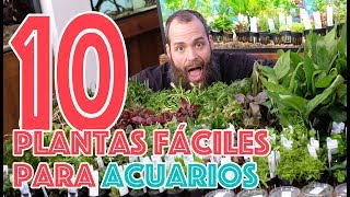 10 plantas fáciles para acuarios  TOP 10 🌿🌺🌳 [upl. by Salena]