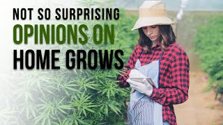 Secrets Americans Unexpected Views on Growing Home Marijuana [upl. by Knute]