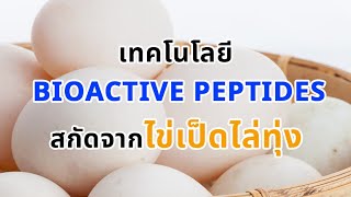 Ep 317 เทคโนโลยี Bioactive peptides สกัดจากไข่เป็ดไล่ทุ่ง [upl. by Anenahs]