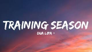 Dua Lipa  Training Season Lyrics [upl. by Eelak]