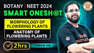 MORPHOLOGY OF FLOWERING PLANTS AND ANATOMY OF FLOWERING PLANTS CLASS 11 ONE SHOT  BY TARUN SIR [upl. by Neelia]