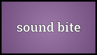 Sound bite Meaning [upl. by Ynohtnad103]