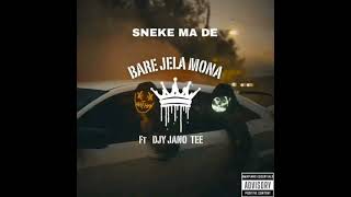 Bare jela mona Sneke ma de ft DJY JANO TEE mp3 [upl. by Avril414]