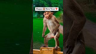 Happy new year 2024  new year 2024  status viral happynewyear2024 shorts ytshorts trending [upl. by Sethrida]