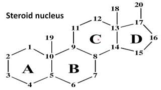 Derived Lipids [upl. by Adnamas]