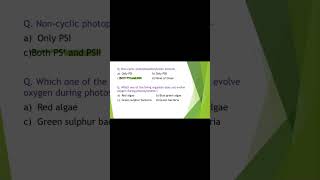 Photosynthesis MCQ  shorts  Noncyclic photophosphorylation [upl. by Gent]