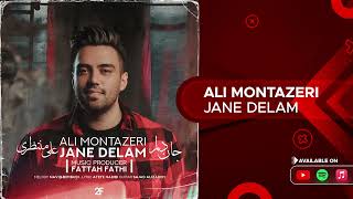 Ali Montazeri  Jane Delam  علی منتظری  جان دلم [upl. by Benedetta]