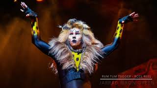 Cats  Rum Tum Tugger Reel Oasis of The Seas  Jarrad Biron Green [upl. by Raychel]