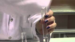 CHEMISTRY Cation Test for Pb2 using NaOH and NH4OH [upl. by Lucilla598]