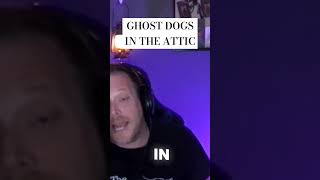 Ghost dogs in the attic at Malvern Manor [upl. by Nyrat]