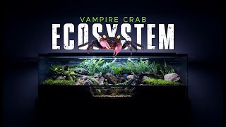 🦀 BUILDING A HUGE VAMPIRE CRAB ECOSYSTEM PALUDARIUM STEP BY STEP [upl. by Oiliduab3]