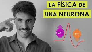 ⚡️ POTENCIAL DE ACCIÓN ¿Cómo el Cerebro Utiliza el Electromagnetismo para Crear un Impulso Nervioso [upl. by Kleinstein]