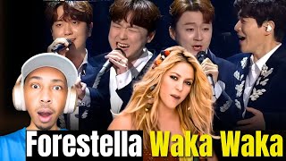 ZuluModo Reacts to Waka Waka 조민규 포레스텔라 Forestella [upl. by Latihs]