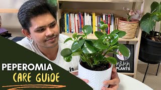 Peperomia Plant Complete Care Guide  Easiest Tips To Follow [upl. by Nylarej]