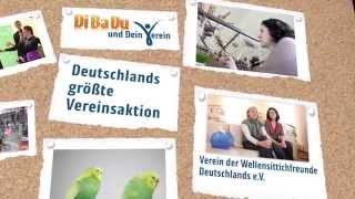 DiBaDu und Dein Verein 2014  INGDiBa [upl. by Ynnaj]