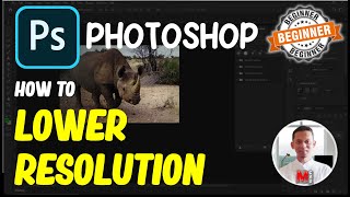 Photoshop How To Lower Resolution [upl. by Lyrak]