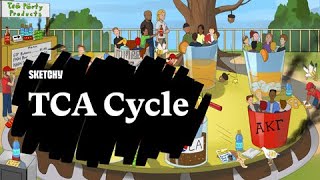 Learn the TCA Cycle  Sketchy MCAT [upl. by Ferro]