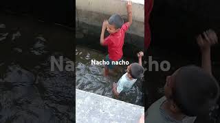 Nacho Nacho song Masti by local boyyyy [upl. by Kawasaki]