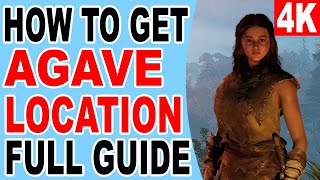 How to Get Agave Seed Farm Location  Soulmask [upl. by Daphene586]