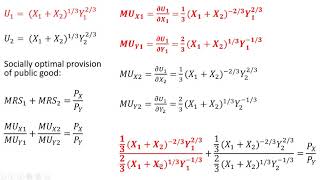 Public Goods Problem with Utility Functions [upl. by Harsho169]