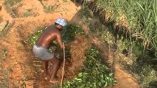 Methods of composting  Organic process of composting step by step [upl. by Elwira]