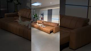 Thats why my wife wont sleep in the same bed with mecouch sofabed livingroom electricsofa [upl. by Muhammad]