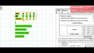 correction examen national 2018 svt normal information génétique [upl. by Hawthorn528]