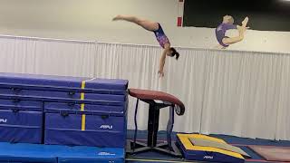 Yurchenko 2 Vault Clinic Level 67 [upl. by Nosmirc]