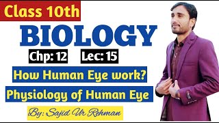 How Human Eye work  Physiology of Human Eye  Mechanism of Vision  10th Bio Chp 12 Lec 15 [upl. by Ykcub475]