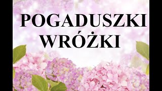 Pogaduszki wróżki Inkarnacja i reinkarnacja [upl. by Yrevi]