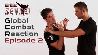 Ninjutsu self defense  Ep 2  Knife and back choke hold [upl. by Birch]